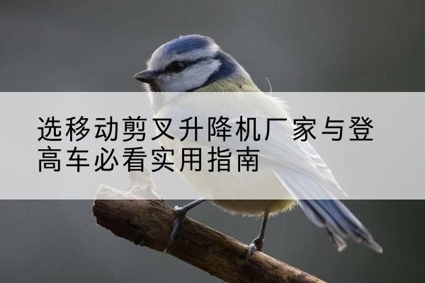 寻乌电动升降机厂家-选移动剪叉升降机厂家与登高车必看实用指南