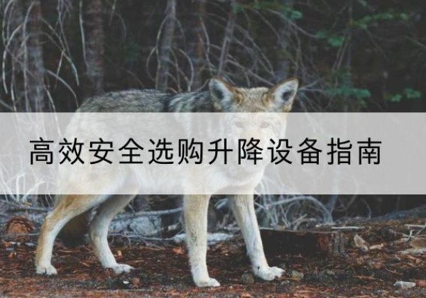 寻乌升降货梯厂家推荐-*安全选购升降设备指南